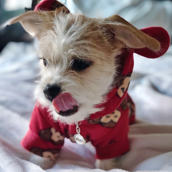 Meet your Posher, Lisa - Picture 14 of 15